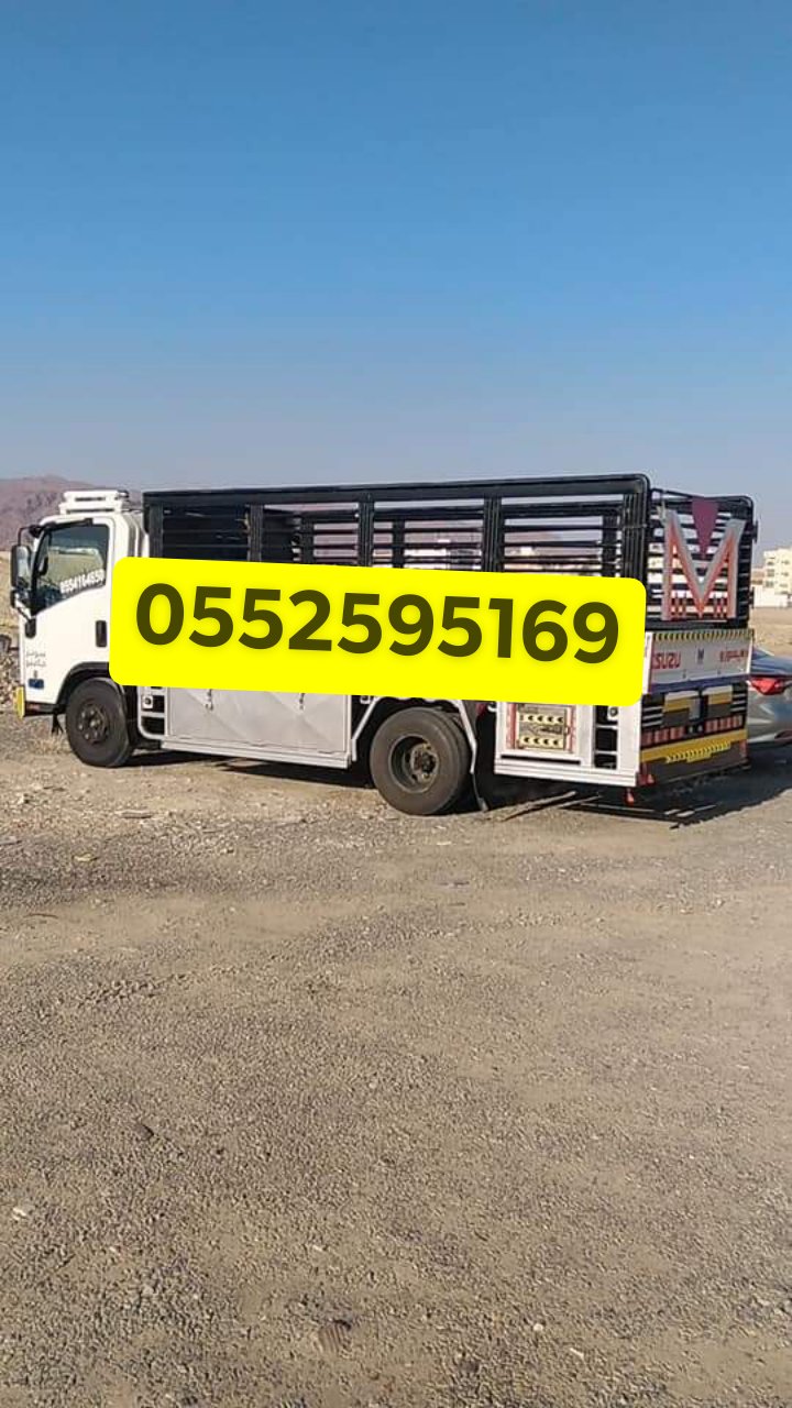 طش الأثاث القديم شمال الرياض 0552595169